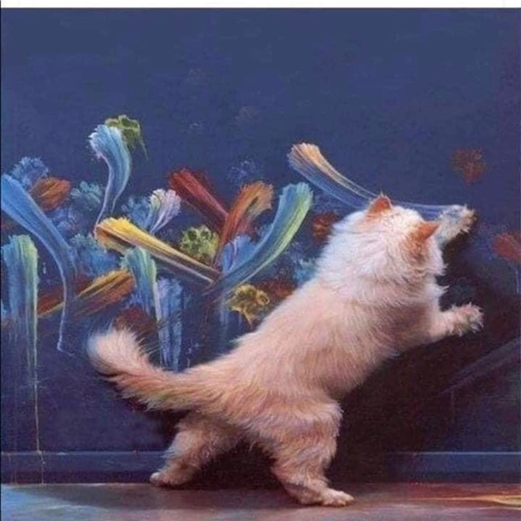 Meet your Posher, La'Merah - Picture 1 of 1